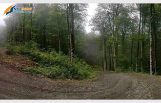 باربری مشهد به تنکابن | اثاث کشی و حمل بار و اسباب کشی با کمترین تعرفه و نرخنامه از مشهد